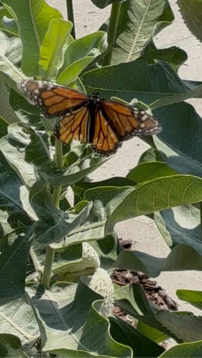 Warren Wildlife Haven photo 13