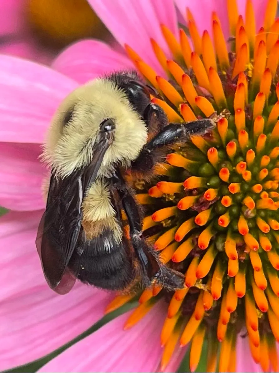 Nourishing Life Garden photo 19