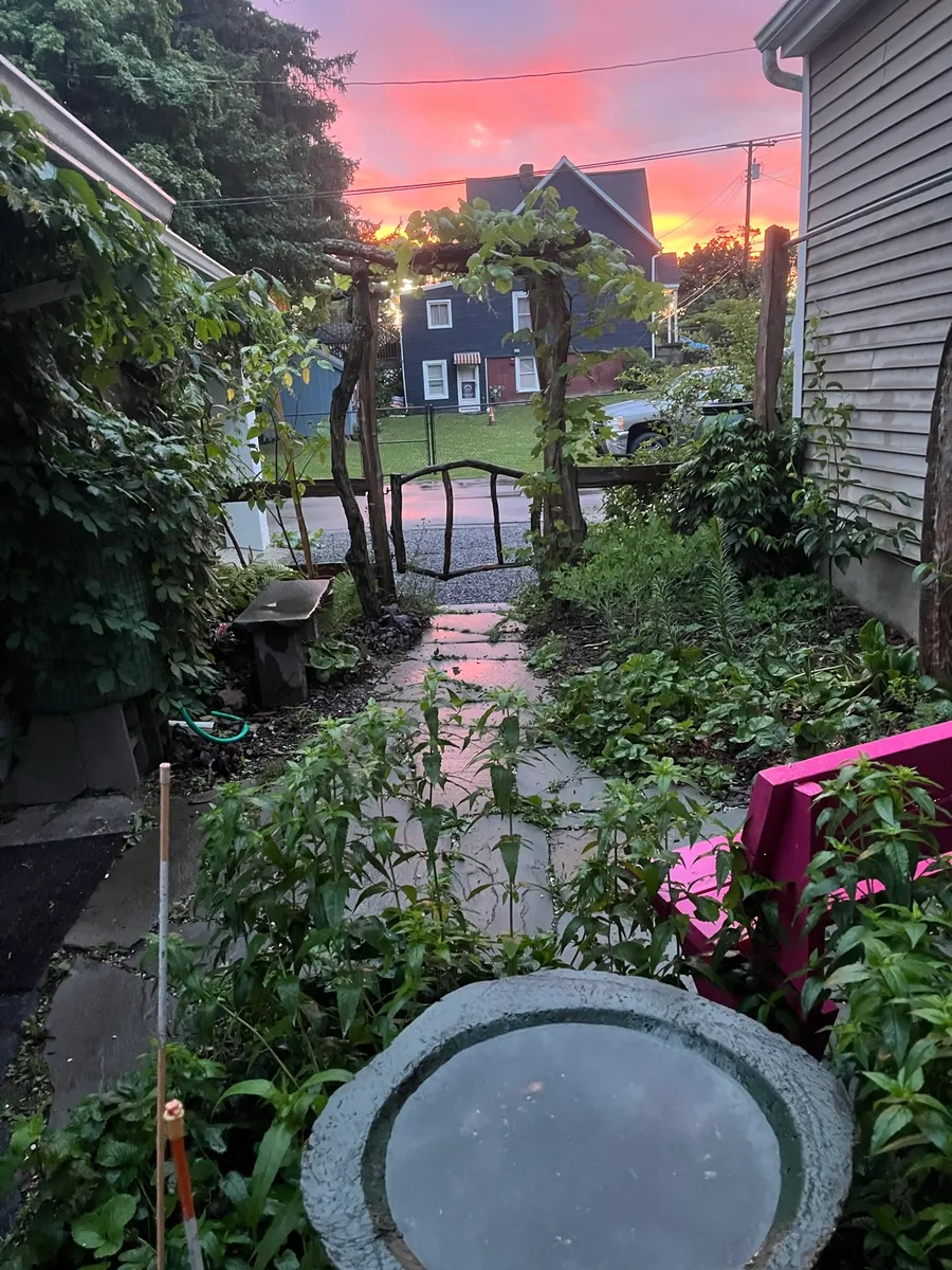 Nourishing Life Garden photo 22