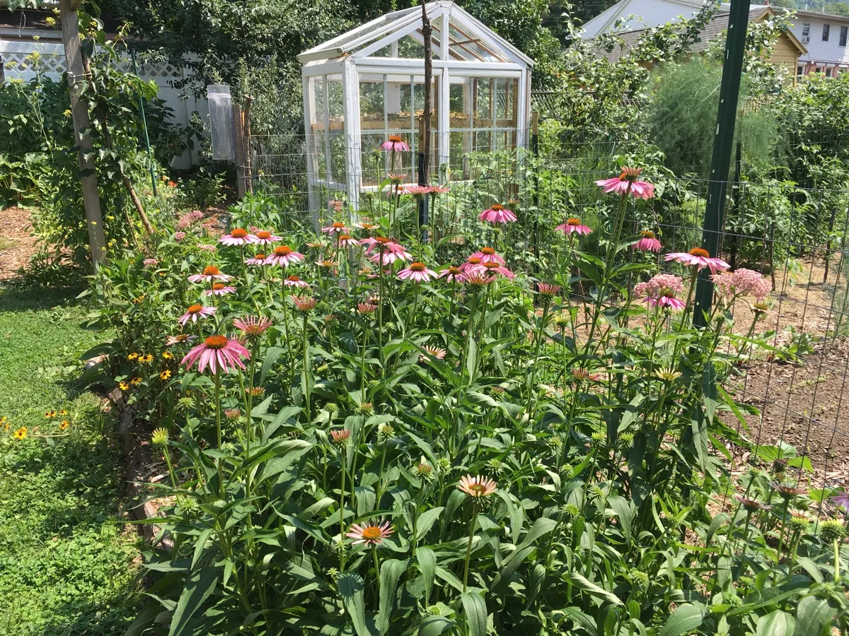 Nourishing Life Garden photo 35