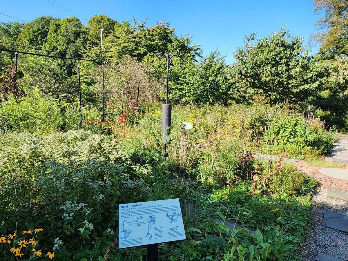 Leon Levy Native Habitat Garden photo 3