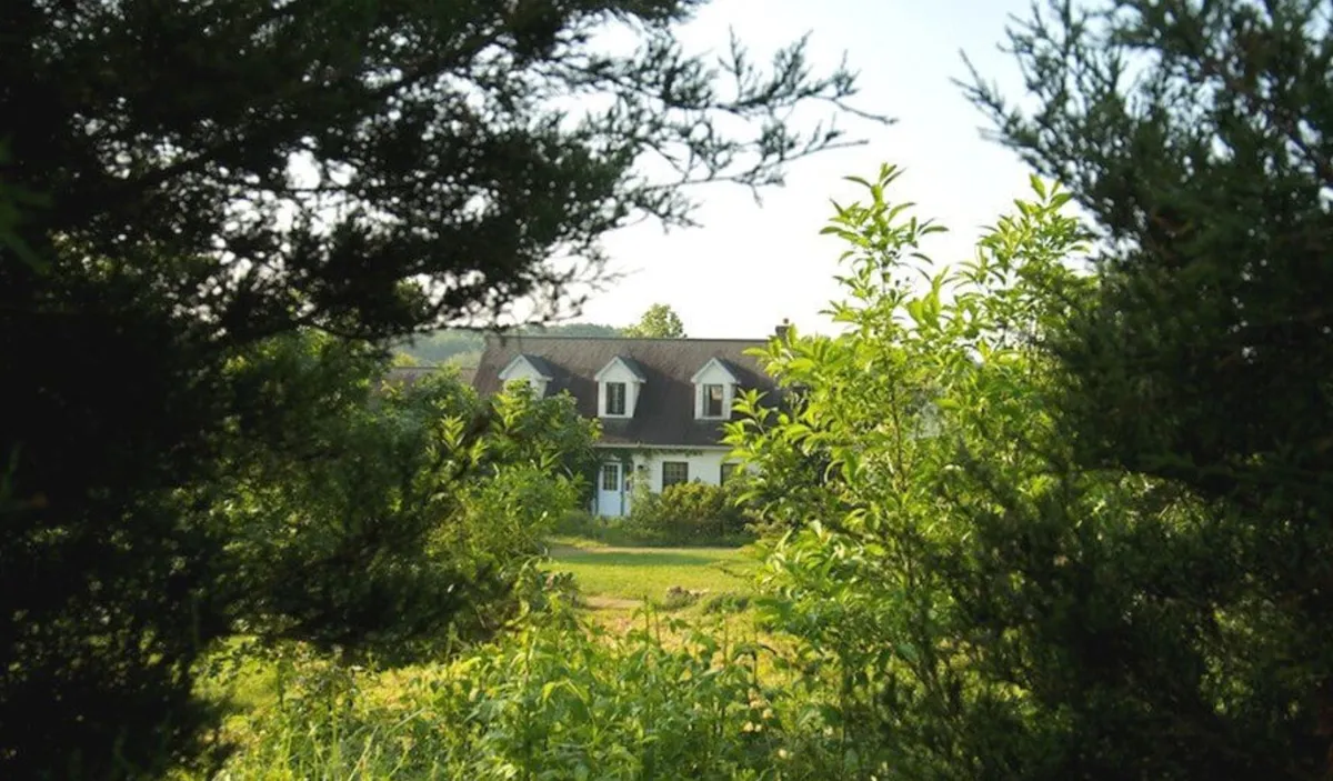 The Tallamys' Place photo 1