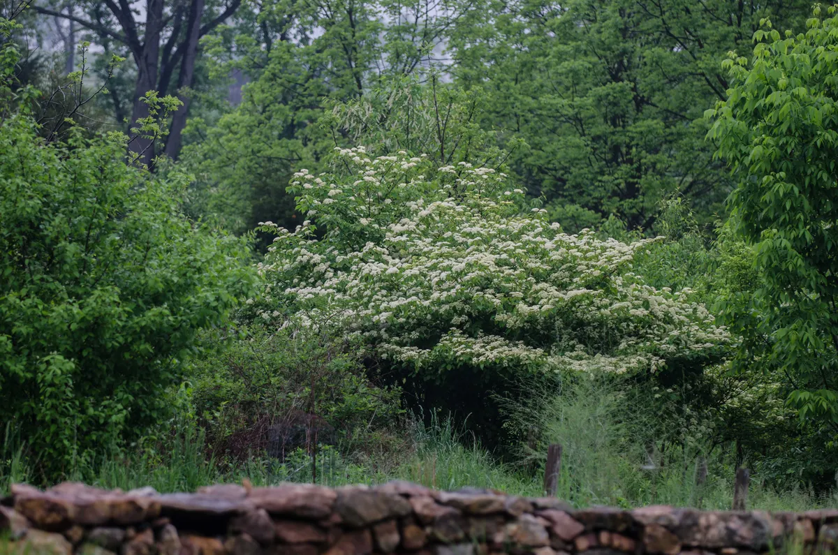 The Tallamys' Place photo 5