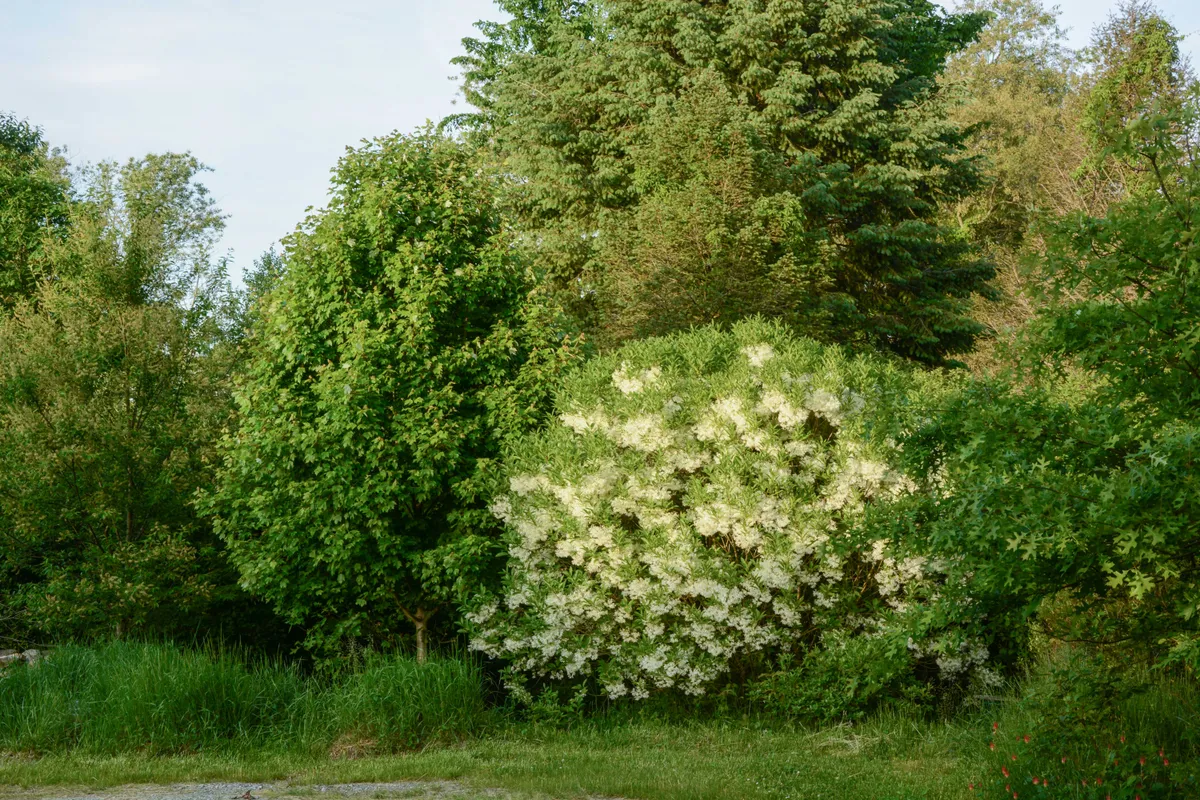 The Tallamys' Place photo 4