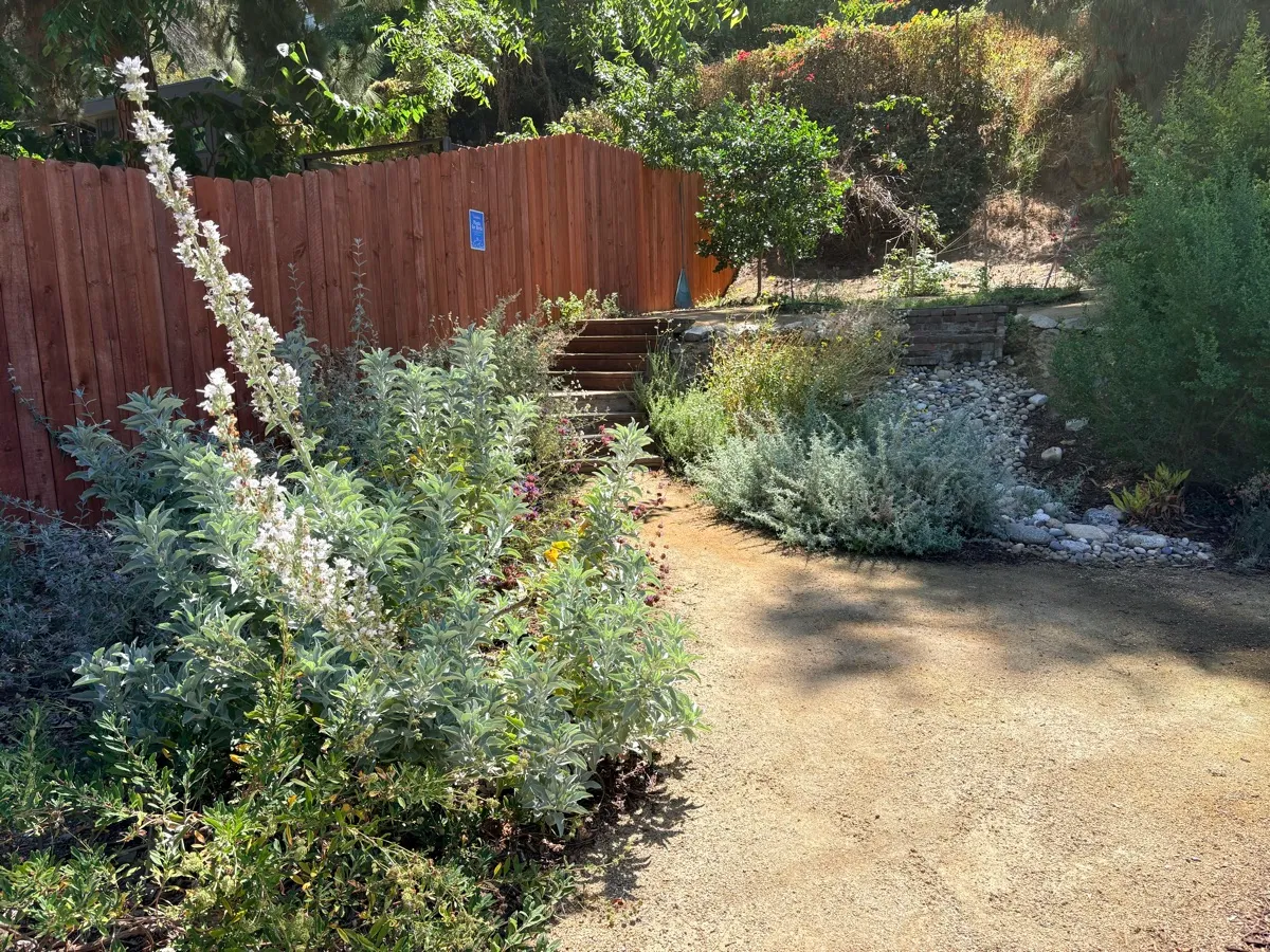 Highland Park Native Garden Habitat photo 1