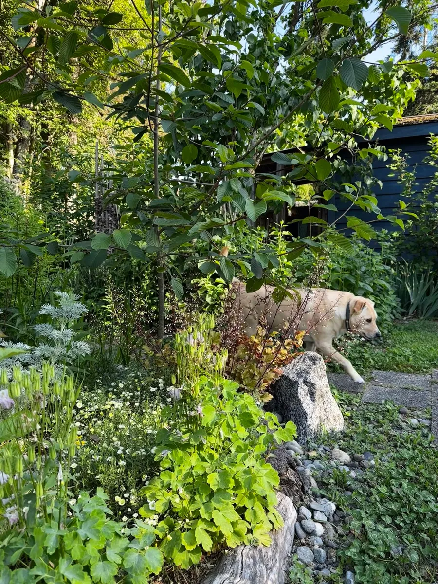 Crow’s Garden photo 1