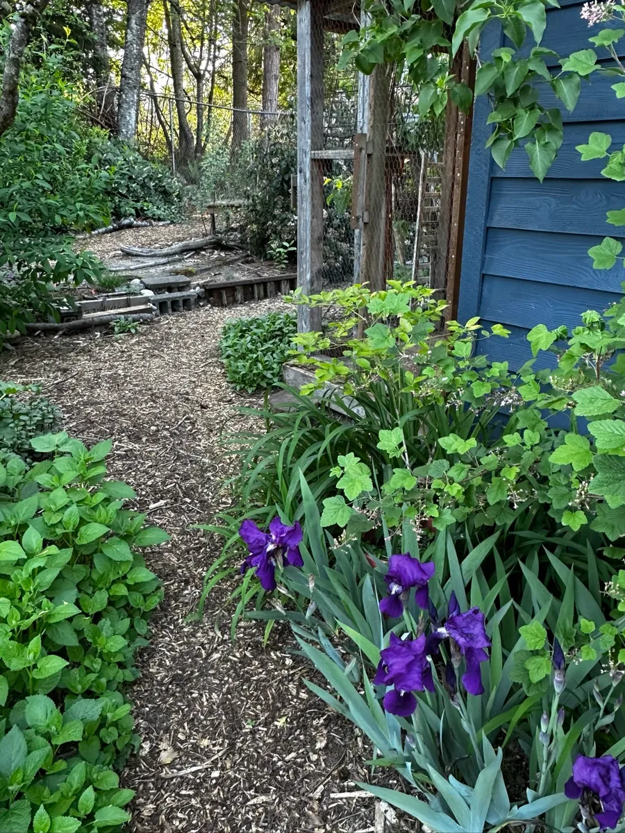 Crow’s Garden photo 2