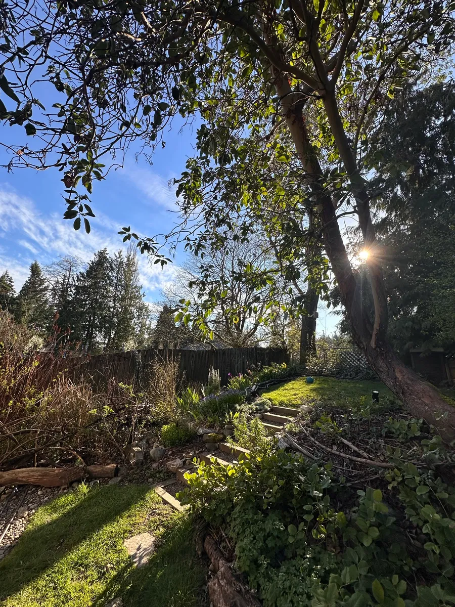 Crow’s Garden photo 5