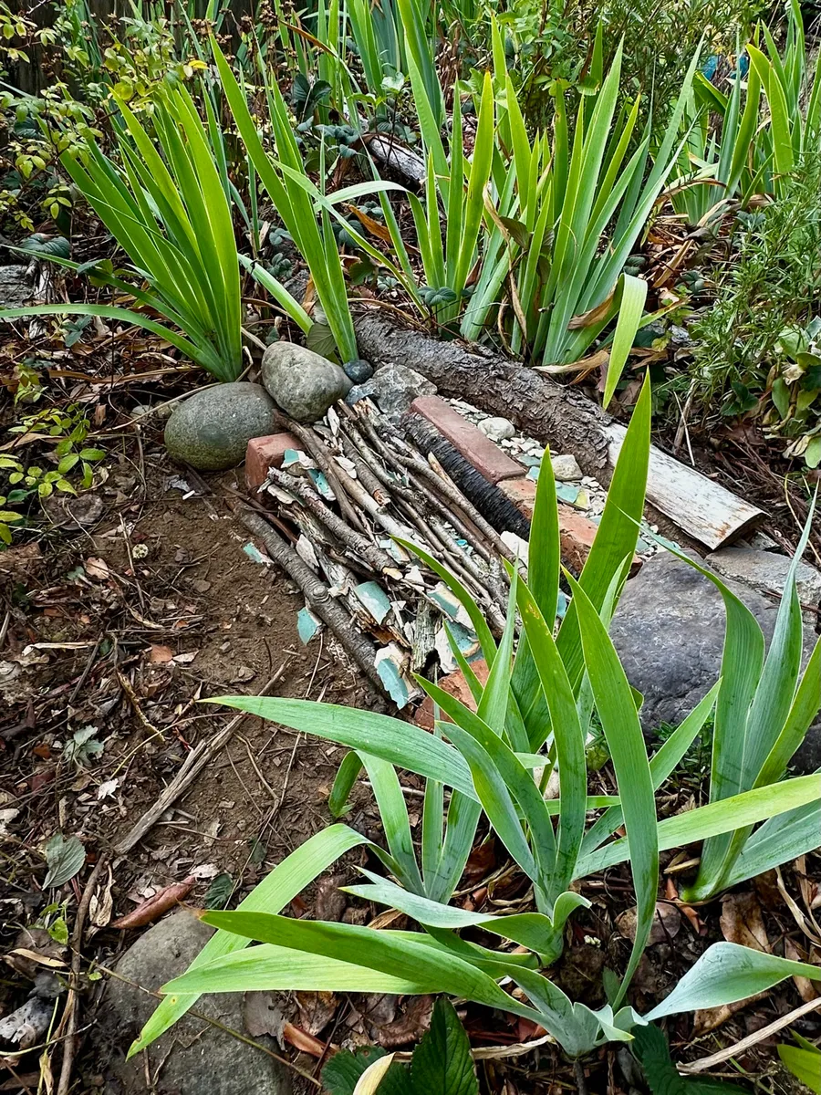 Crow’s Garden photo 6