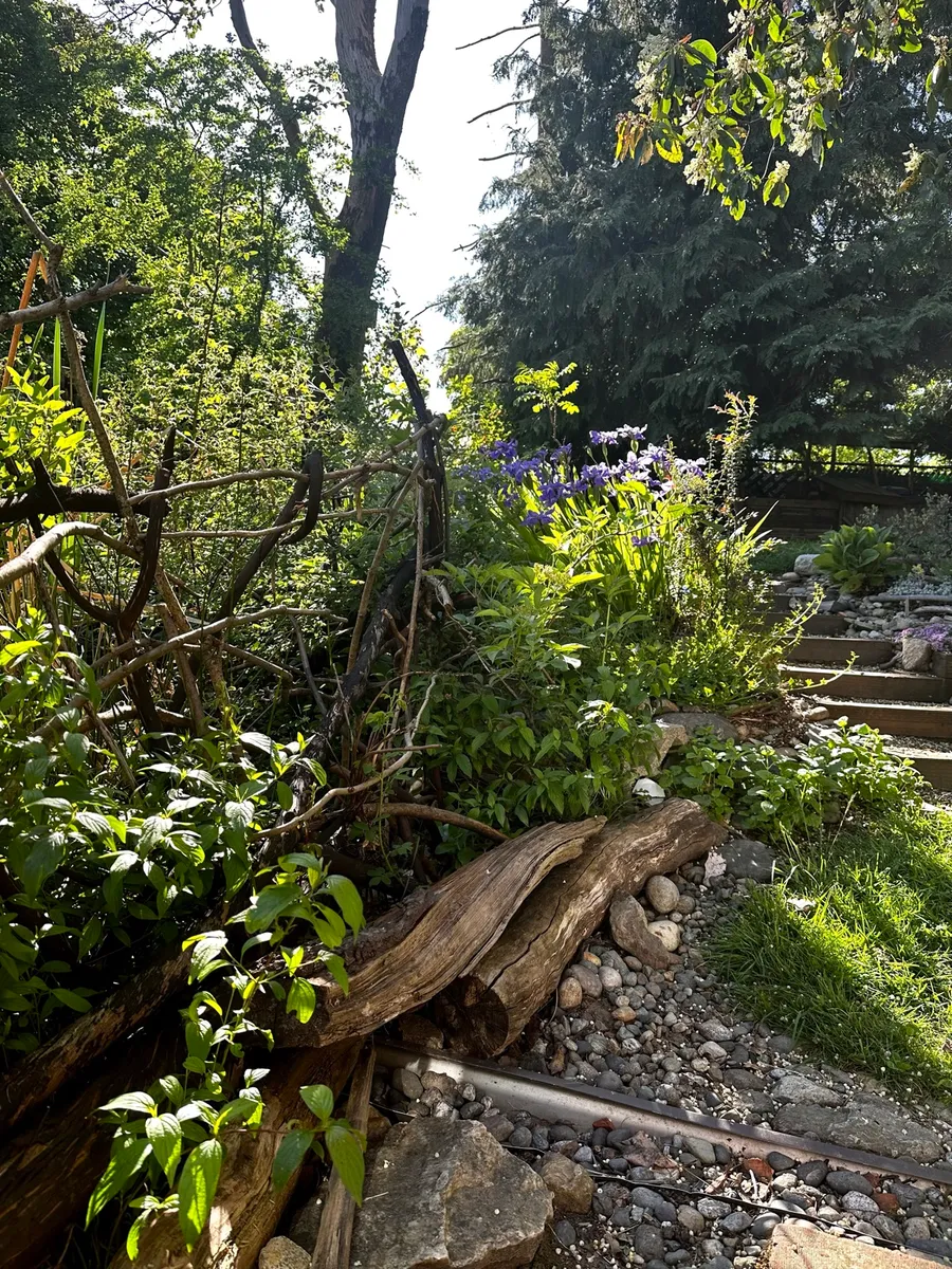Crow’s Garden photo 10