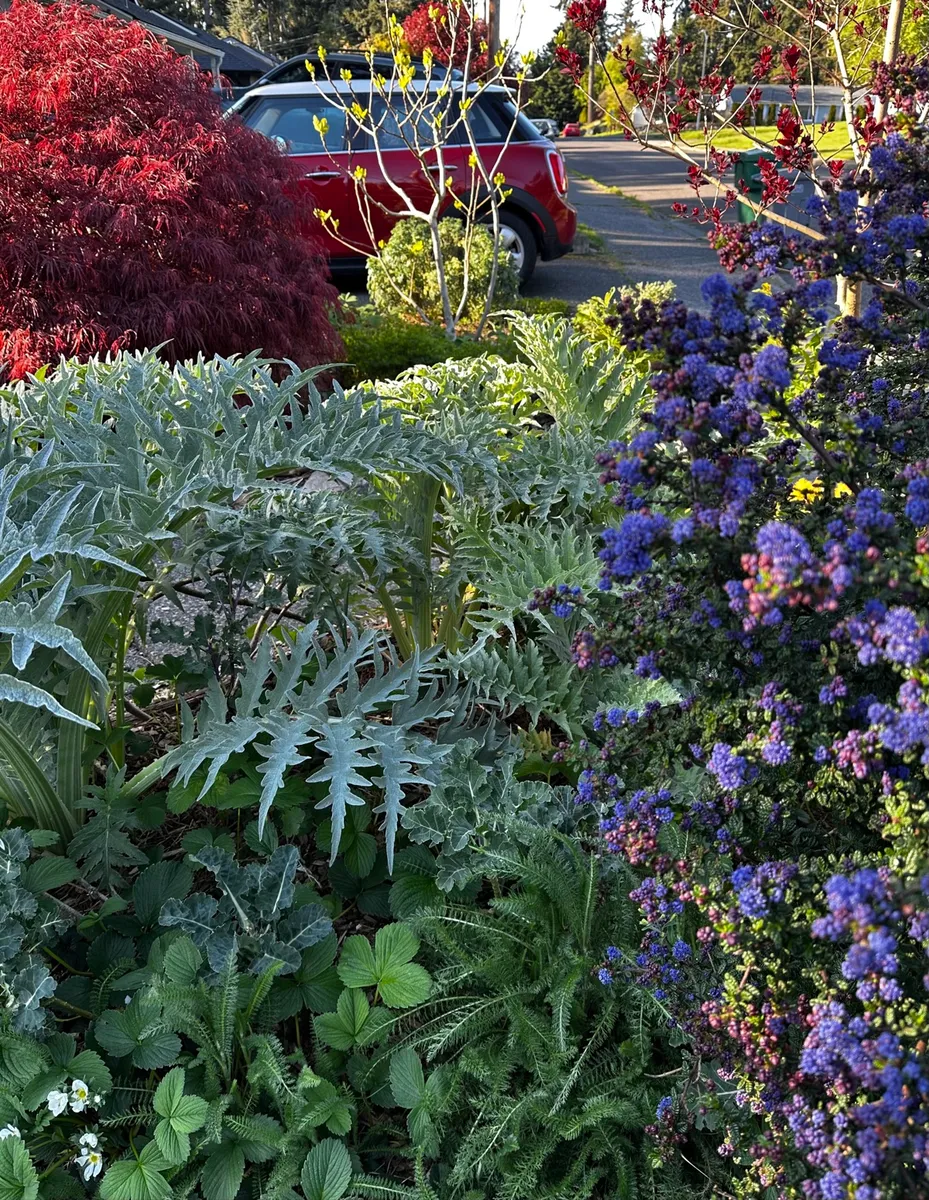 Crow’s Garden photo 7