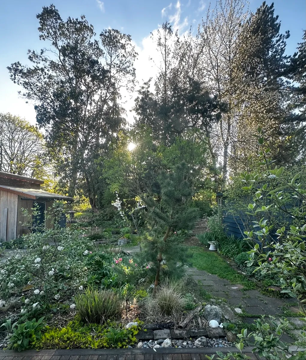 Crow’s Garden photo 11