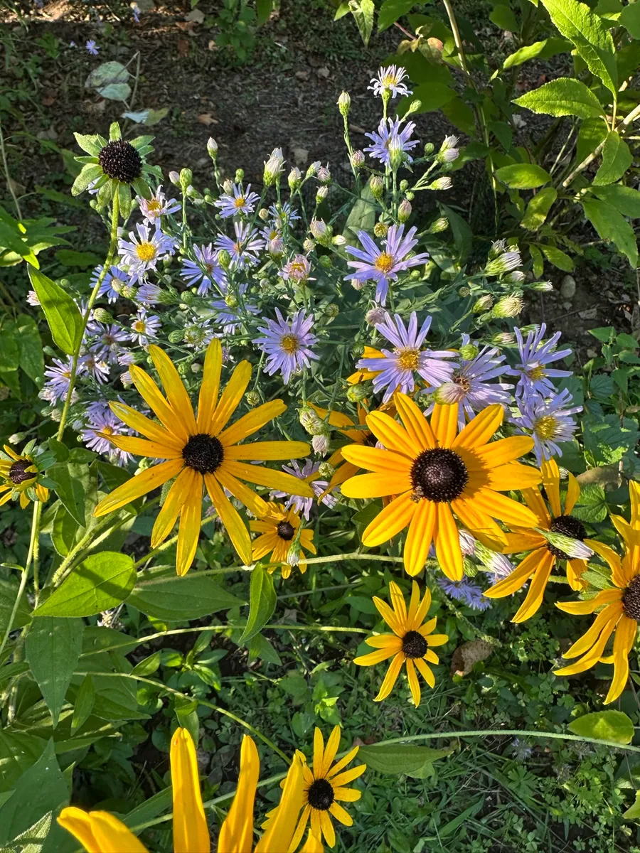 Quaker Hill photo 2
