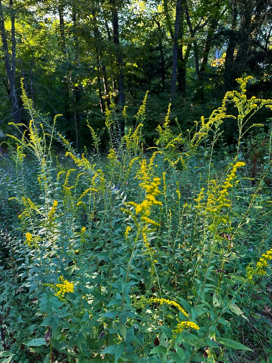 Quaker Hill photo 6