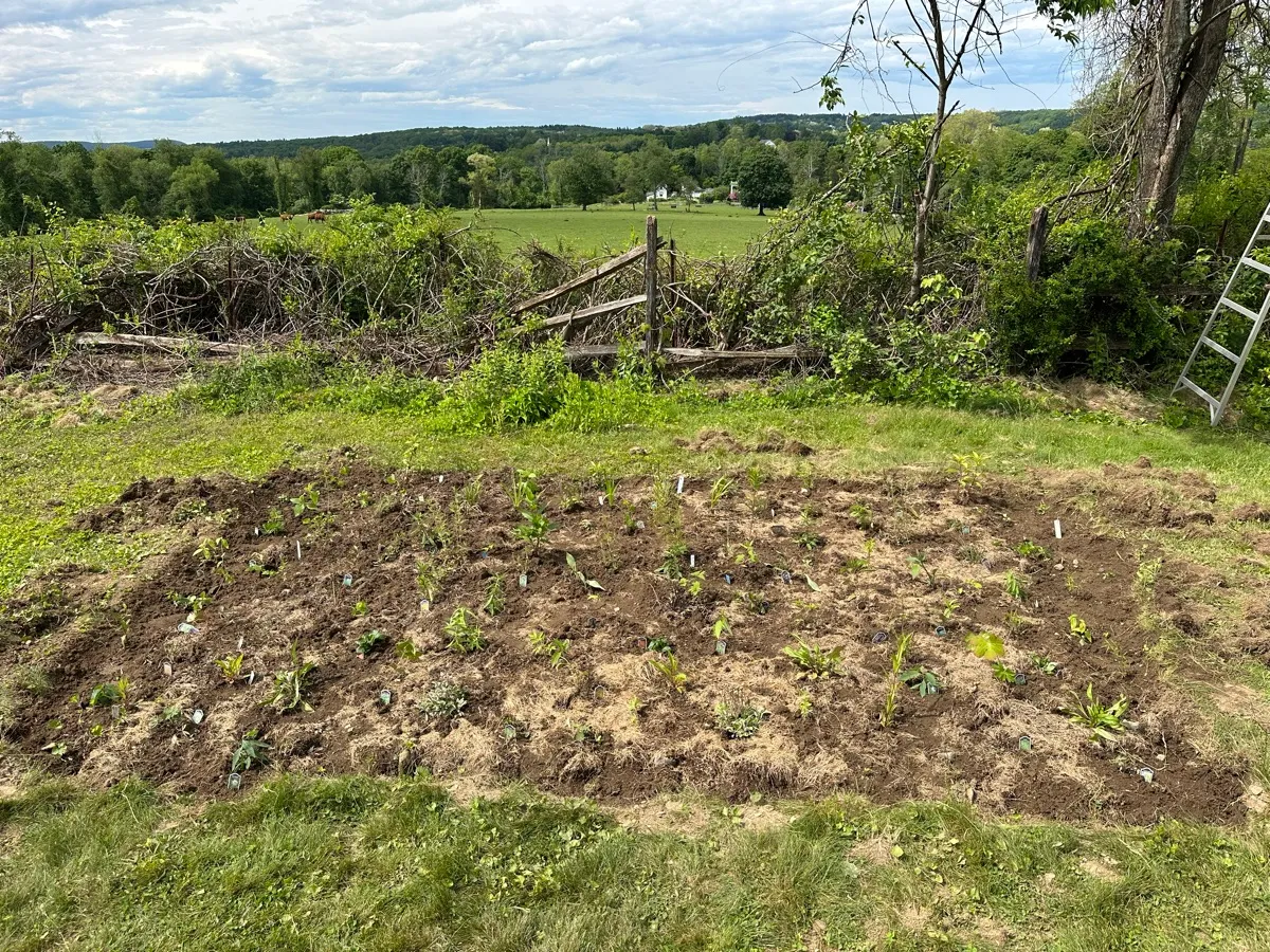 Quaker Hill photo 11