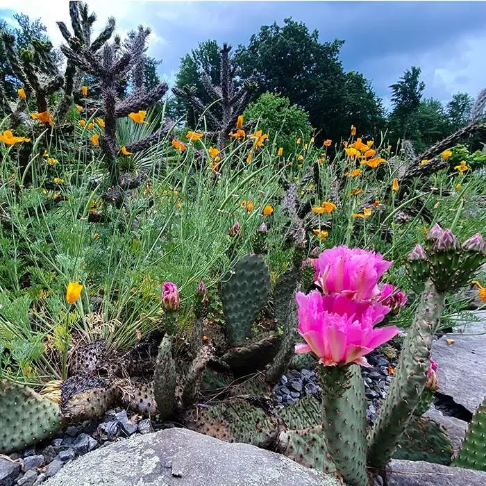 Hortus Arboretum & Botanical Gardens photo 6
