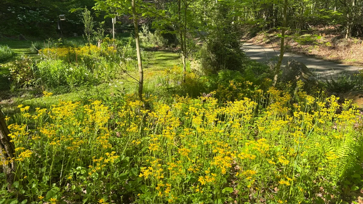 PLANitWILD Sanctuary photo 15