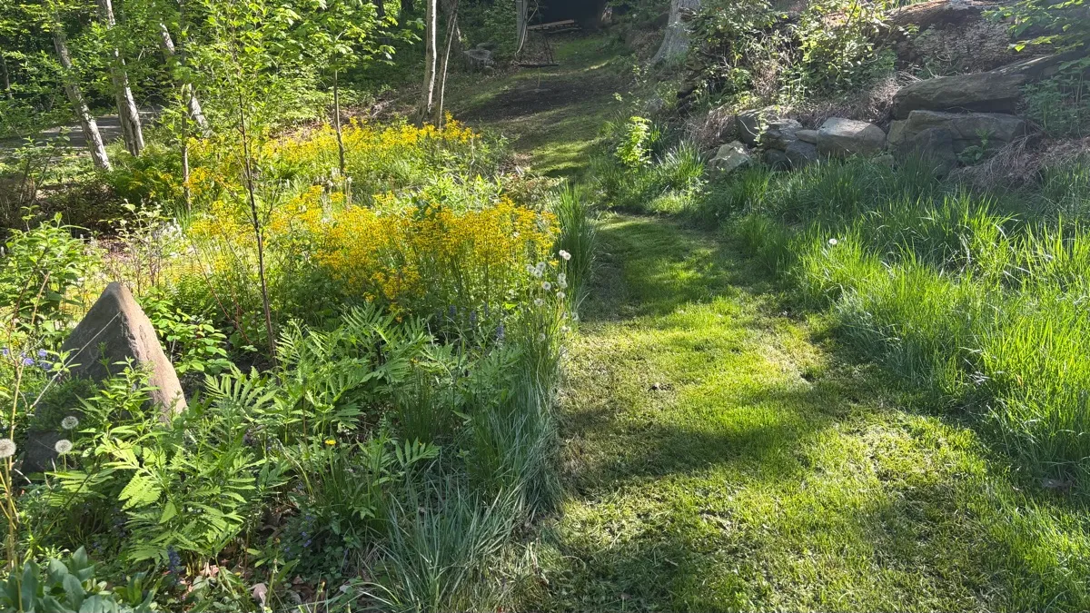 PLANitWILD Sanctuary photo 6