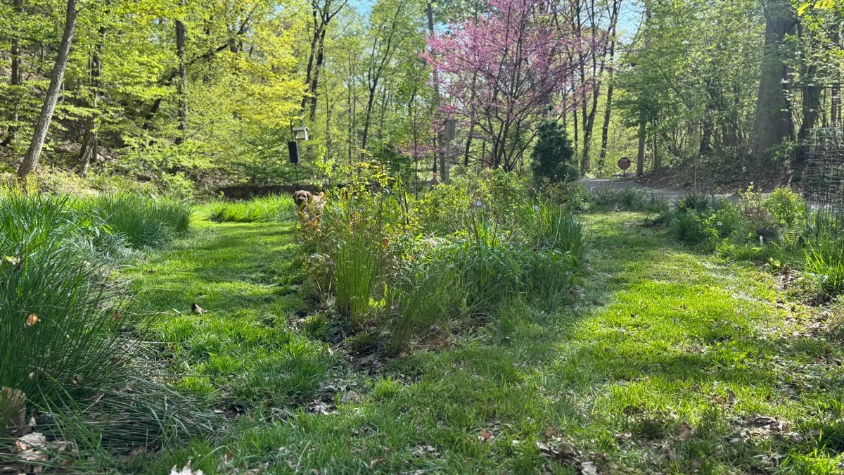 PLANitWILD Sanctuary photo 13