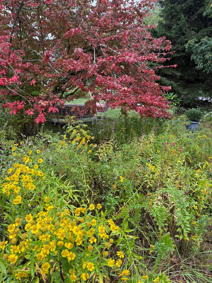 Rhody Retreat photo 2