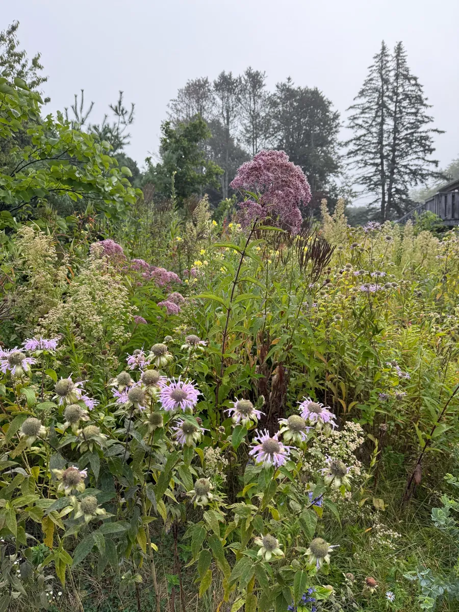 Rhody Retreat photo 5