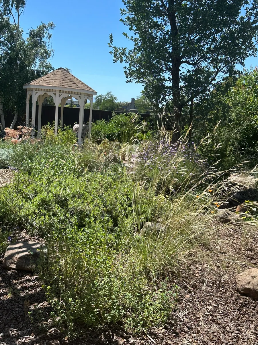 Fox Meadow photo 4