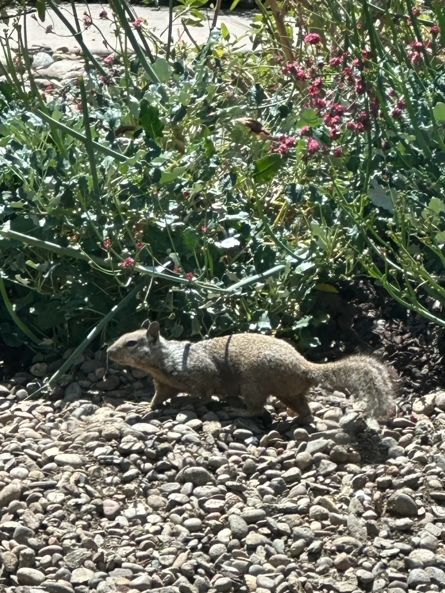 Fox Meadow photo 7