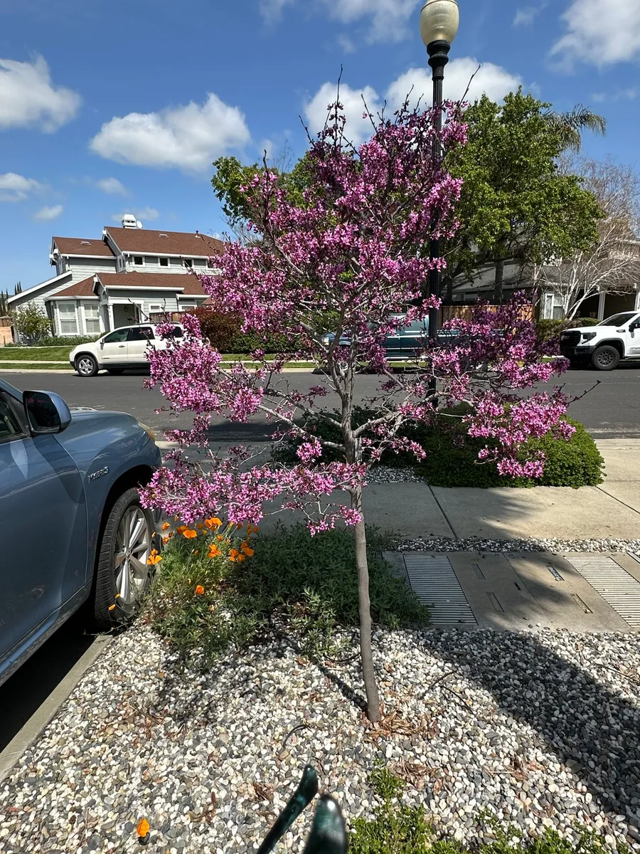 Fox Meadow photo 14