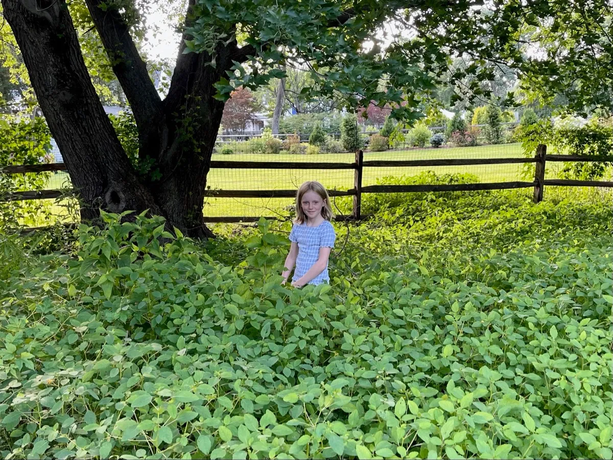 Bedford Nature Preserve photo 5