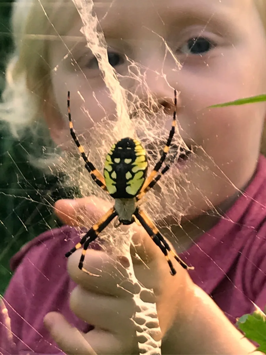 Bedford Nature Preserve photo 6