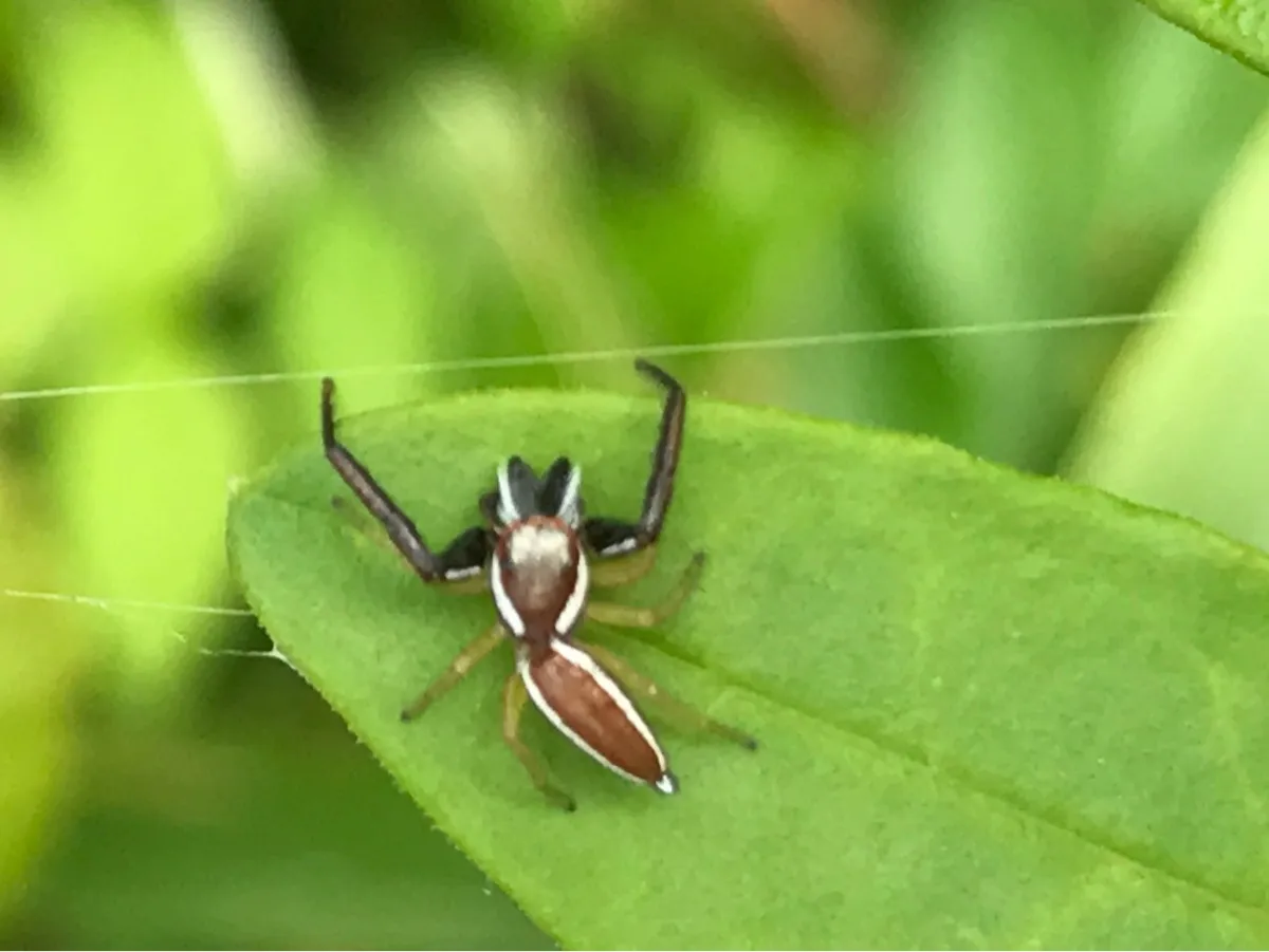 Bedford Nature Preserve photo 15