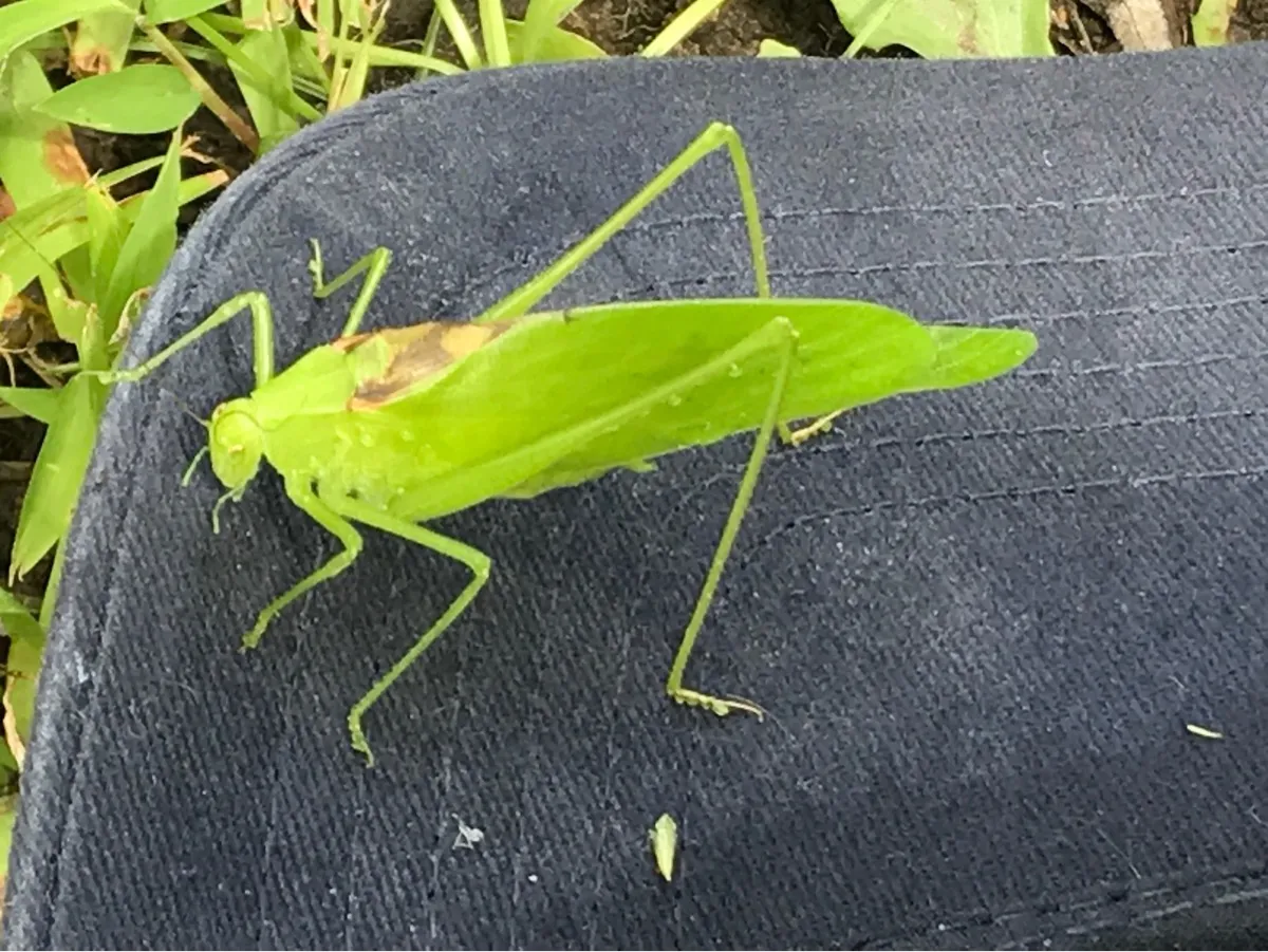Bedford Nature Preserve photo 17