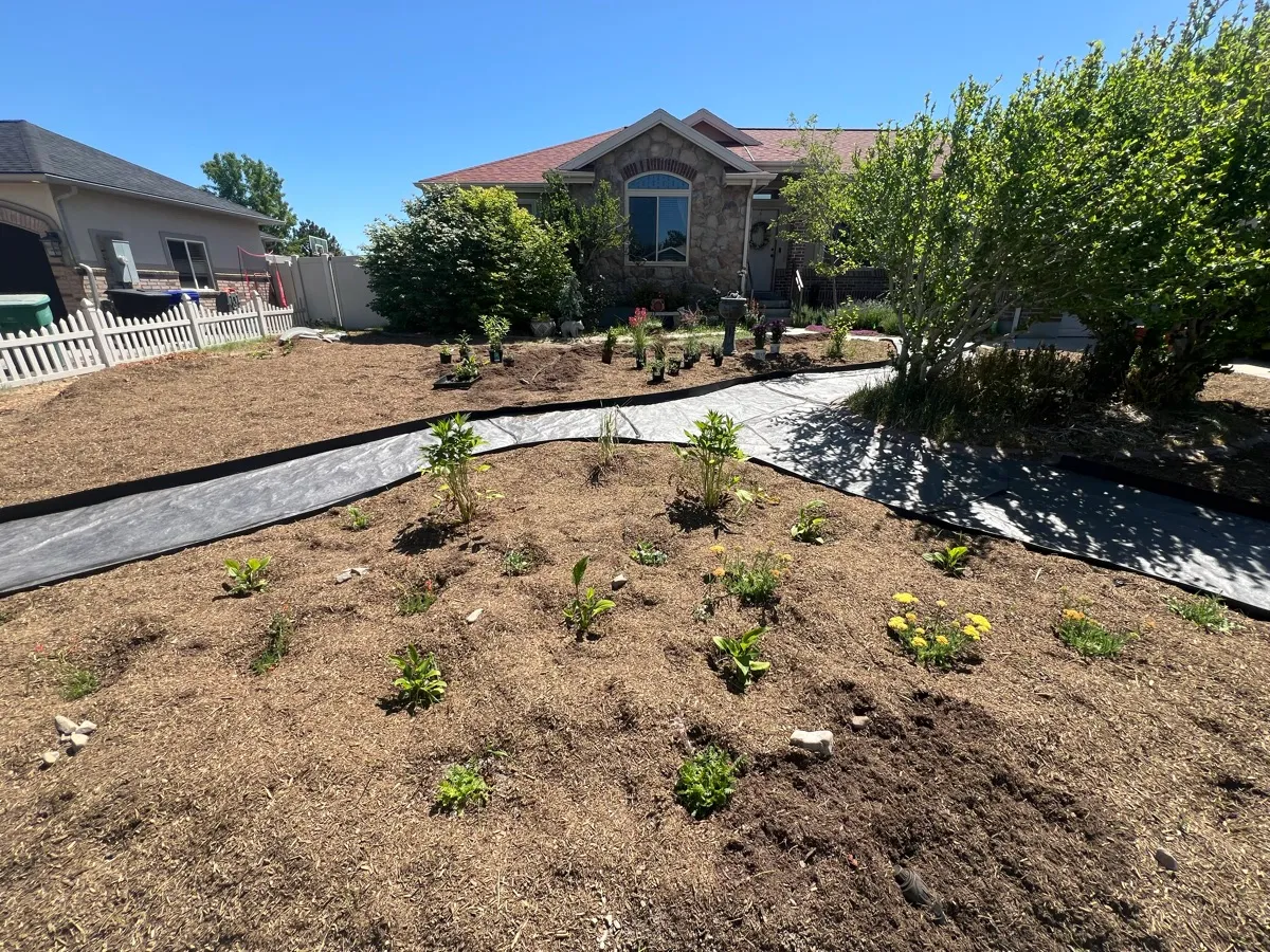 West Bench Pollinator Habitat photo 9