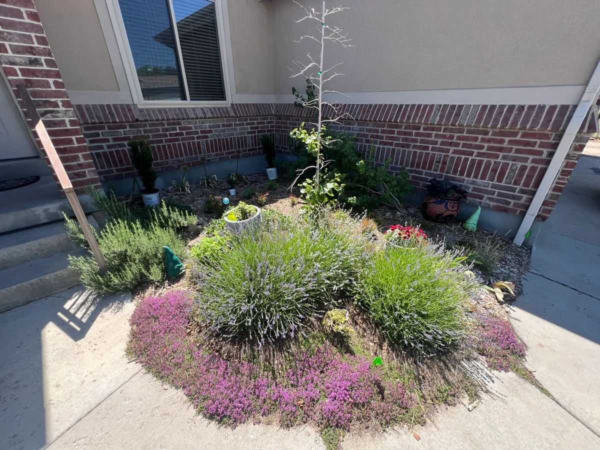 West Bench Pollinator Habitat photo 2