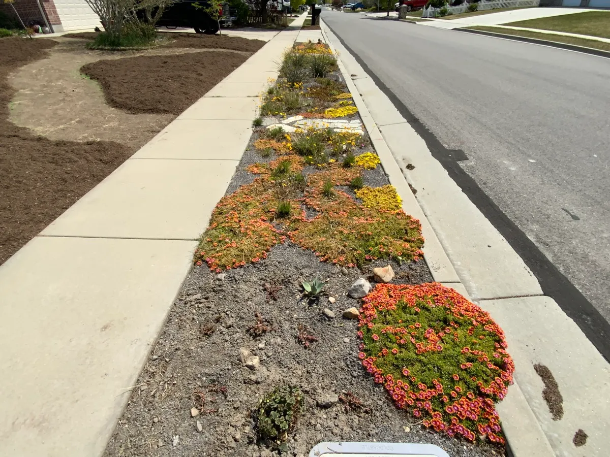 West Bench Pollinator Habitat photo 3
